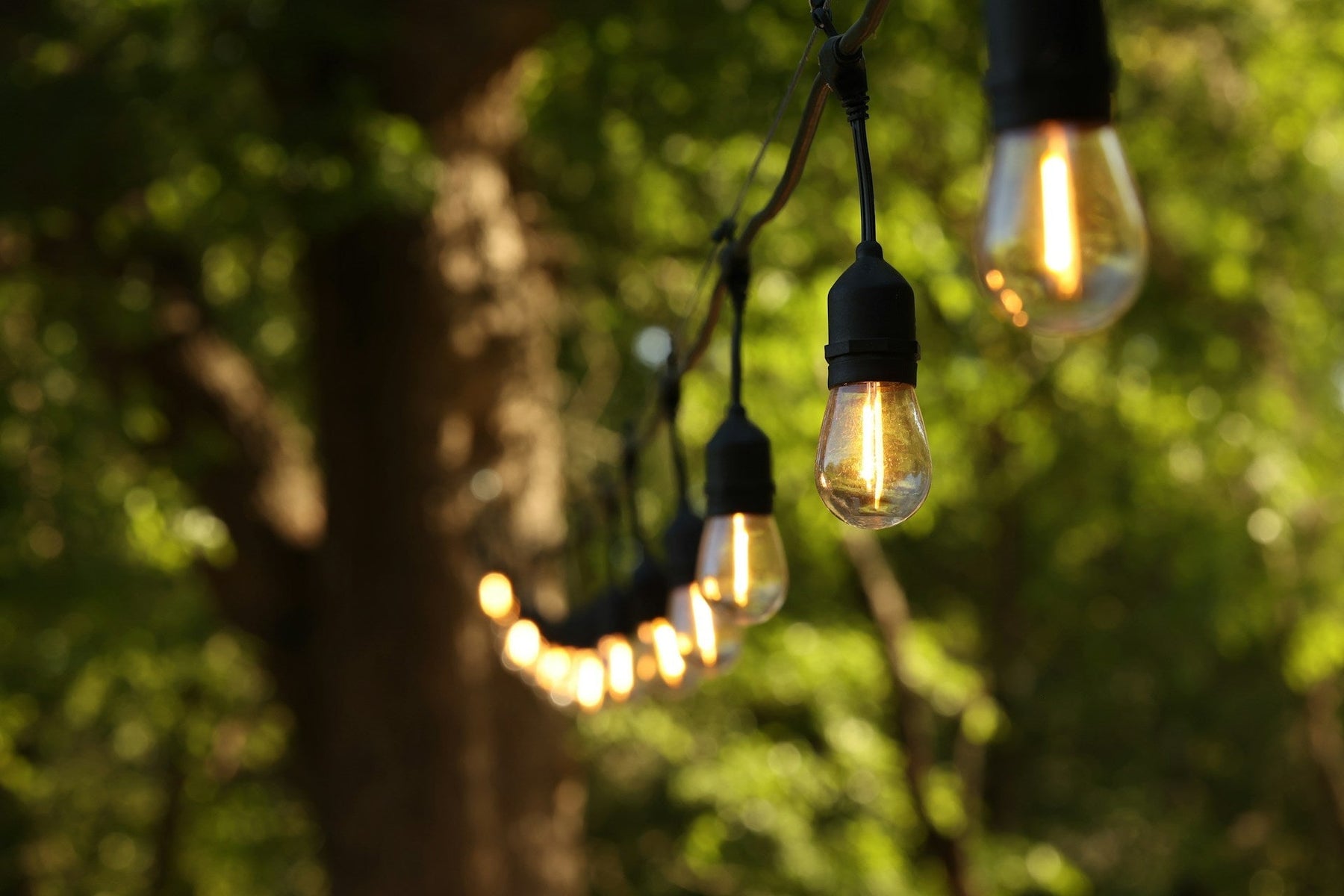 Modern Pathway Lights Solar: Efficient Solutions for Eco-Friendly Outdoor Lighting